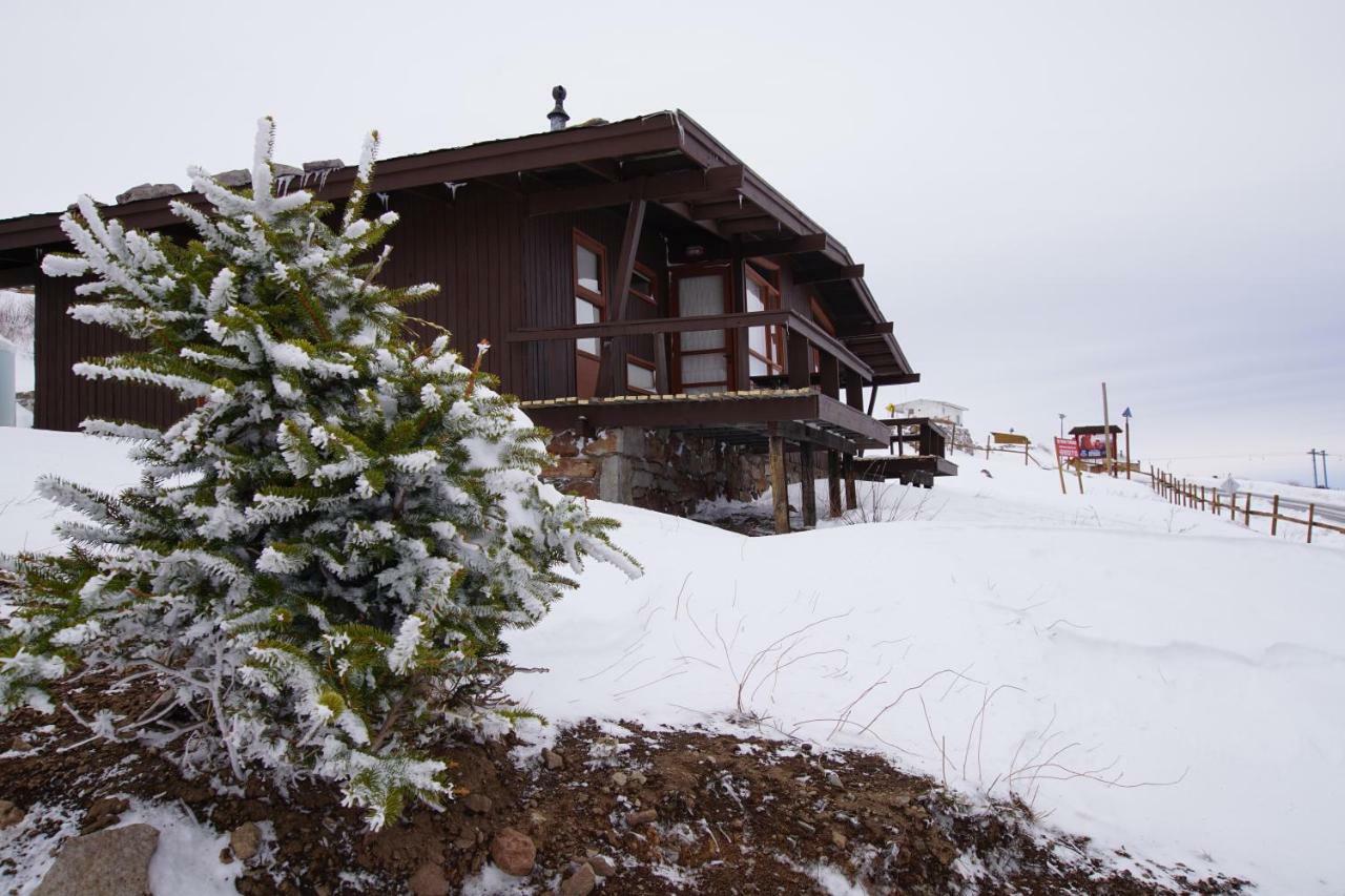 El Colorado Bungalows Екстериор снимка